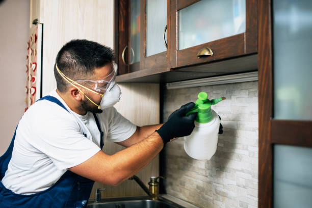 Best Residential Pest Control  in Long Beach, IN
