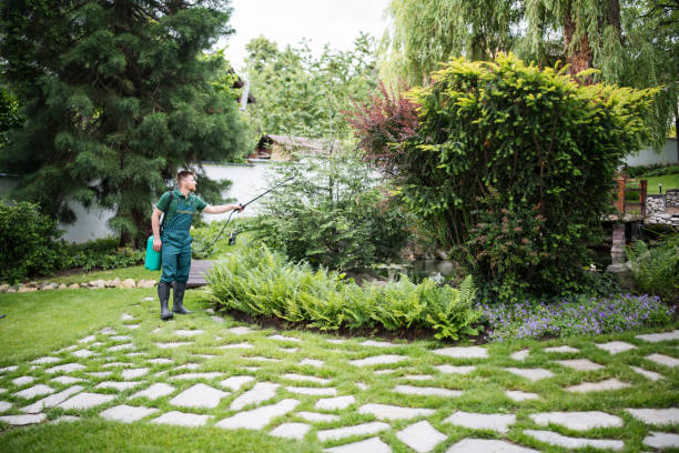 Best Best Pest Control Companies  in Long Beach, IN