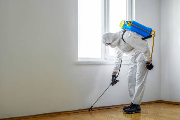 Best Termite Control Services  in Long Beach, IN