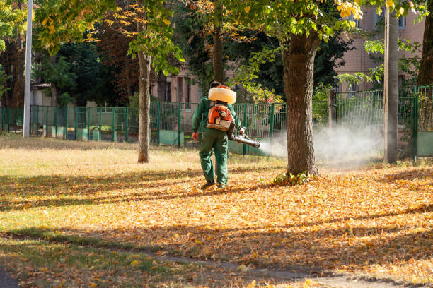 Best Commercial Pest Control Services  in Long Beach, IN
