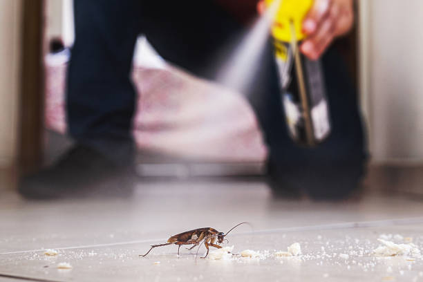 Best Wasp Removal Services  in Long Beach, IN