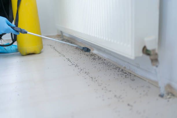 Best Affordable Pest Control Services  in Long Beach, IN