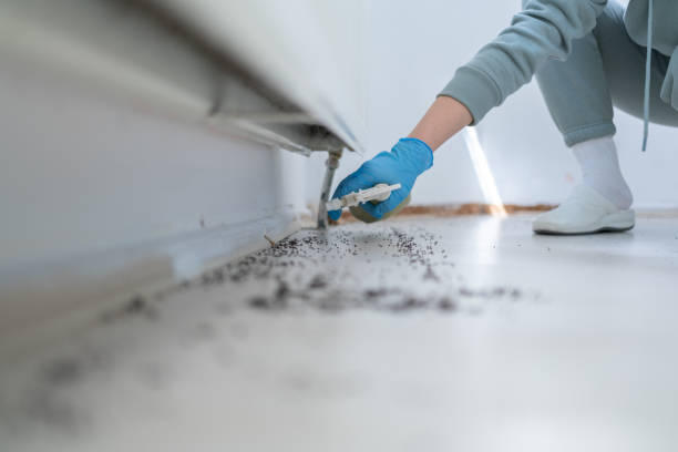 Best Cockroach Control Services  in Long Beach, IN
