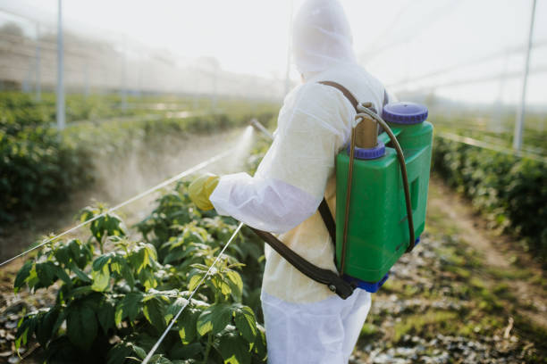 Best Cockroach Control Services  in Long Beach, IN